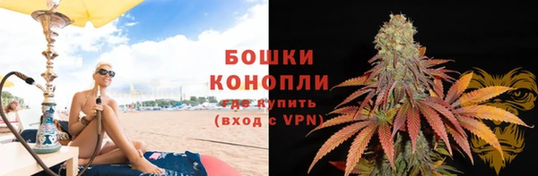 прущие грибы Каменск-Шахтинский
