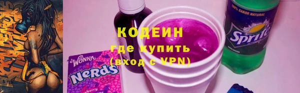 прущие грибы Каменск-Шахтинский