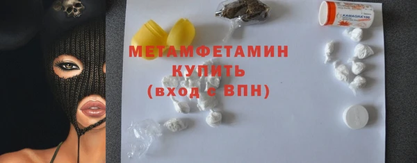 прущие грибы Каменск-Шахтинский