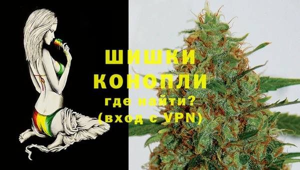 прущие грибы Каменск-Шахтинский
