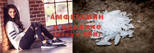 прущие грибы Каменск-Шахтинский
